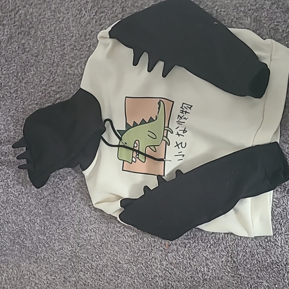 Hooded sweatshirt